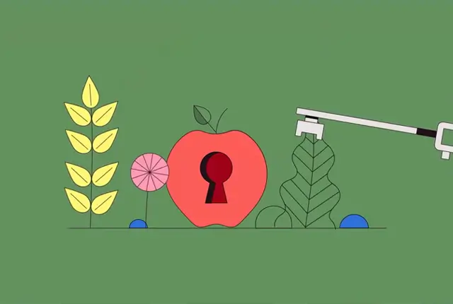 Explainer Zone Video